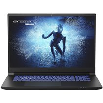 Medion Erazer Defender P40 i7-13700HX/16GB/1TB/RTX-4060/17.3"/Free