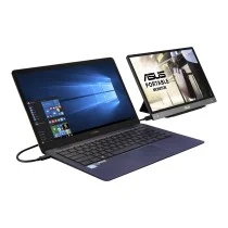 Asus ZenScreen MB14AC pantalla para PC 35.6 cm (14") 1920 x 1080 Pixeles Full HD Gris