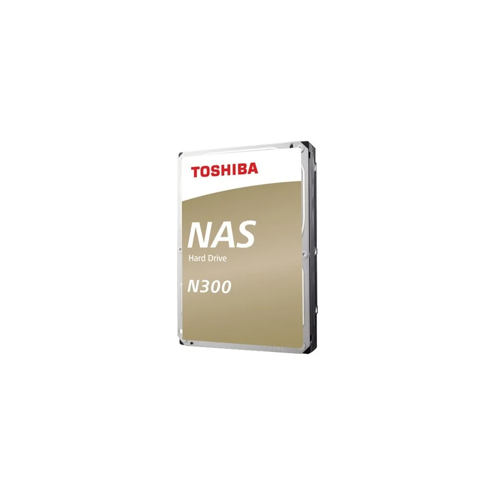 BULK N300 NAS HD 10TB (256MB)