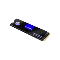 SSD PX500 GEN2 1TB PCIE 3X4 M2