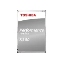 X300 - PERFORMANCE HD 10TB (256MB)