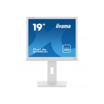 MONITOR IIYAMA 19 B1980D-W5 1280 X 1024 60HZ 5 MS VGA DVI REG ALT GIRO INCL PIVOT BLANCO