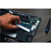 SSD NVMe M.2 Kingston NV2 250GB