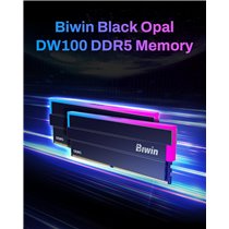 Memoria RAM BIWIN DW100 DDR5 6000MHz 64GB (2x32GB) CL30