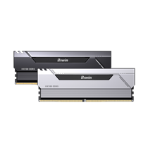 BIWIN HX100 DDR5 6000 32GB CL30 (16*2) SILVER HYNI