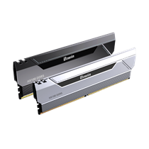 BIWIN HX100 DDR5 6000 32GB CL30 (16*2) SILVER HYNI