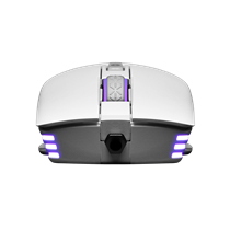 Ratón Gaming EVGA X12 Blanco