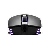 Ratón Gaming EVGA X12 con Cable, Negro