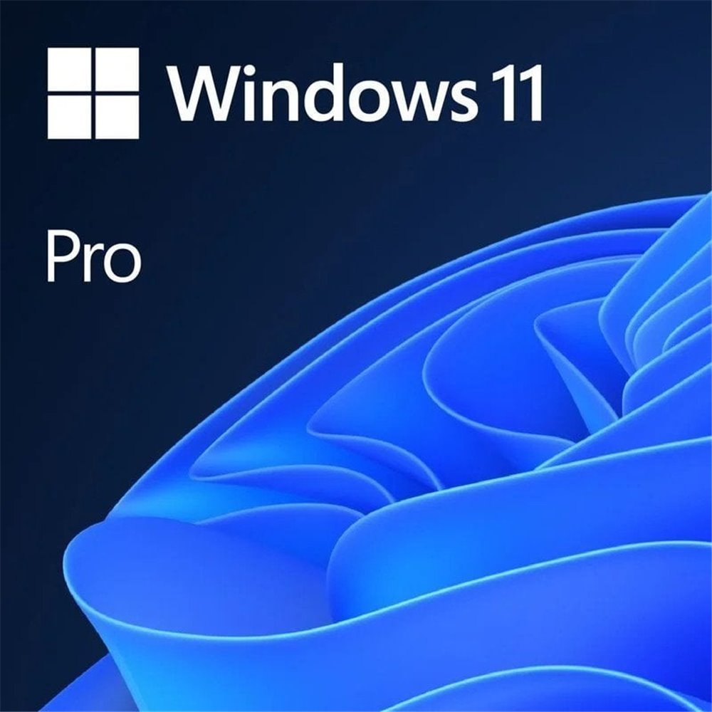 WINDOWS 11 PRO 64 BITS OEM